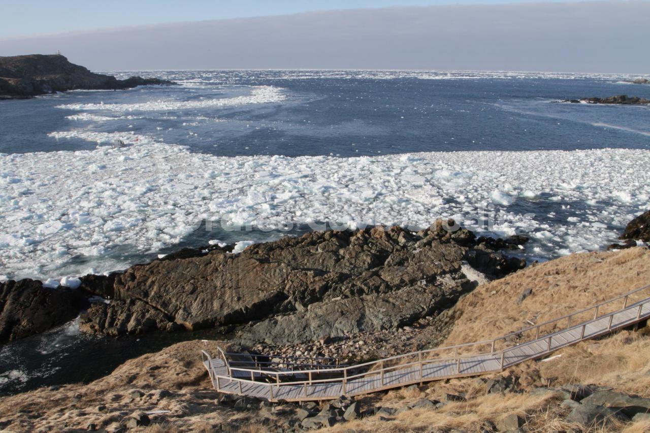 Grates Cove Studios: B&B In Historic Grates Cove Exteriör bild